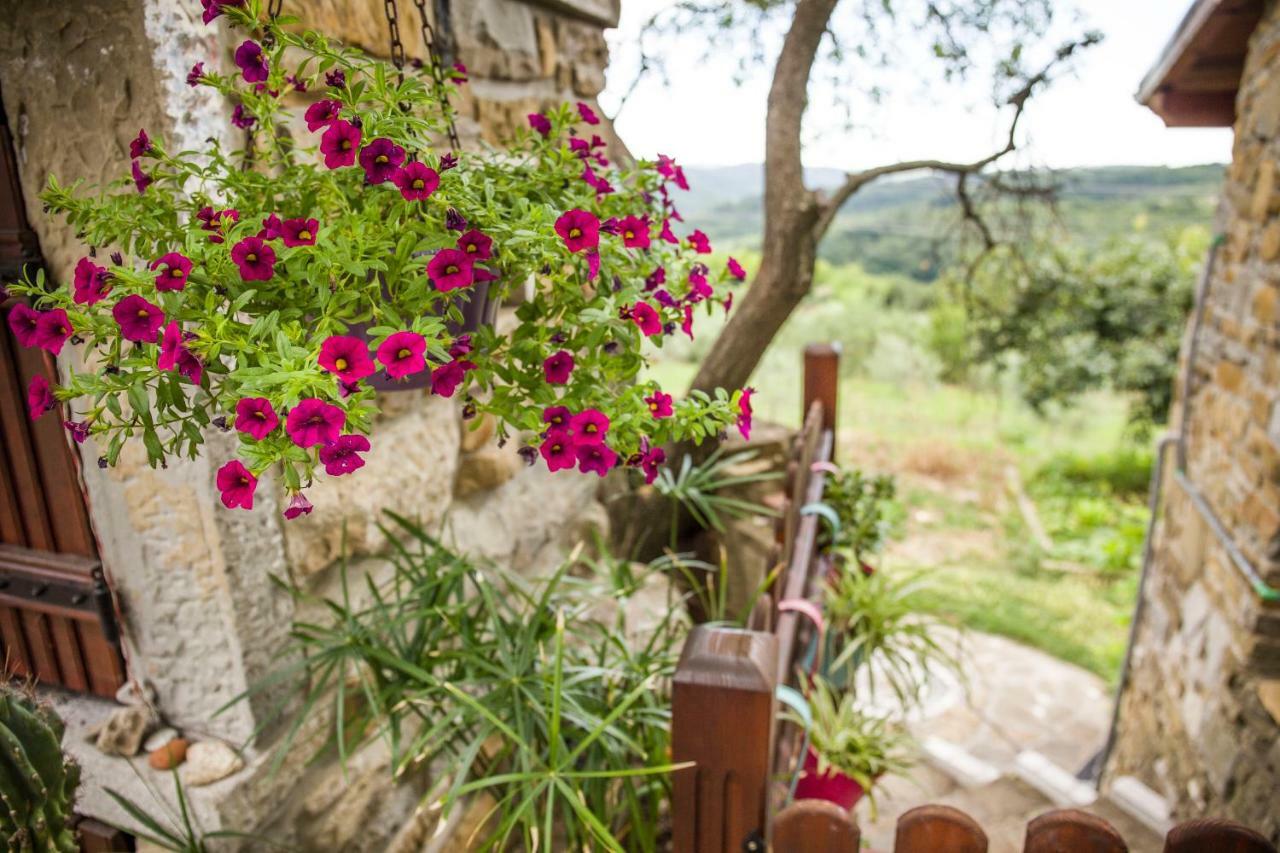Cozy Istrian House Guest House Izola Eksteriør bilde