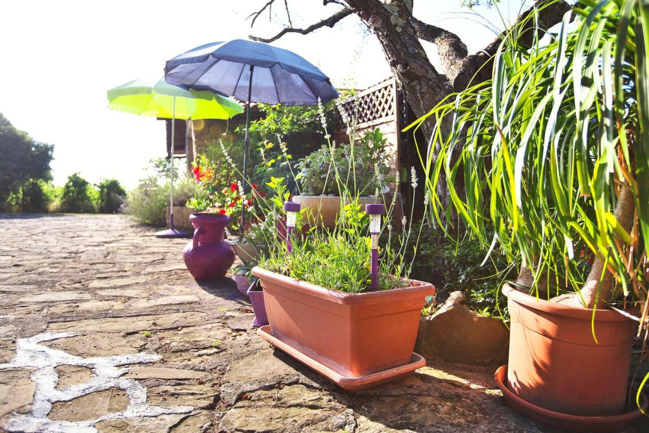 Cozy Istrian House Guest House Izola Eksteriør bilde